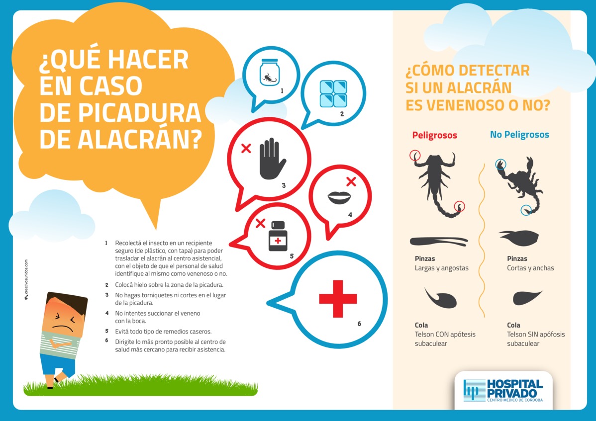 Picaduras de Alacranes