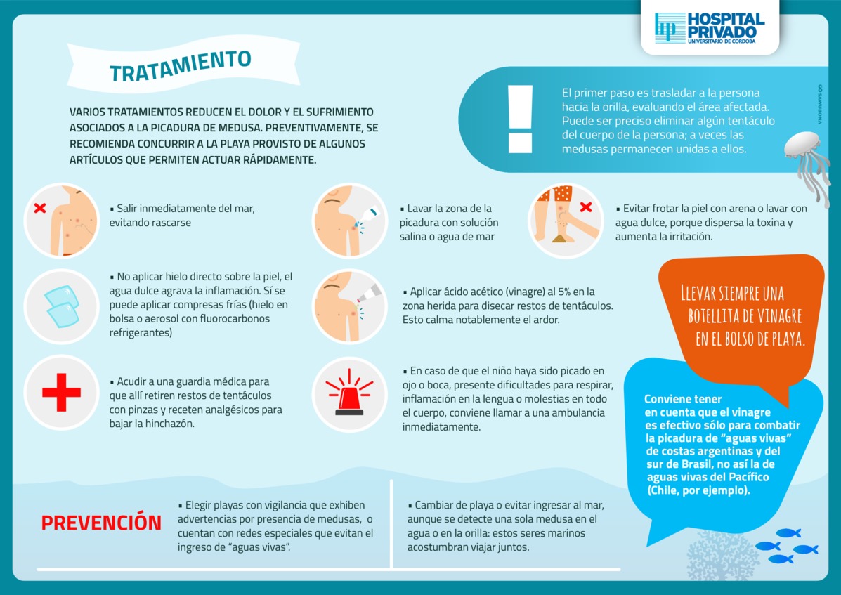 Picadura de Medusas 