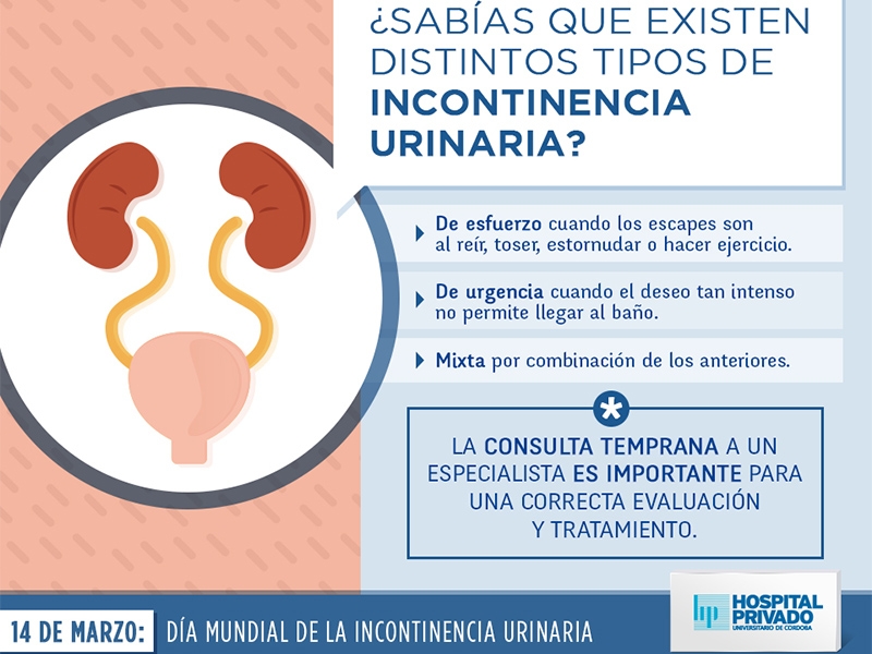 Incontinencia urinaria - Qué es, causas, tipos de incontinencia y cómo  tratarlas 