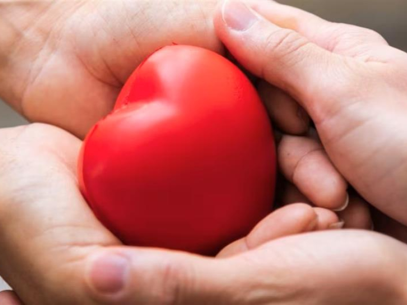 Día Nacional del Donante de Médula Ósea: el valor de donar vida